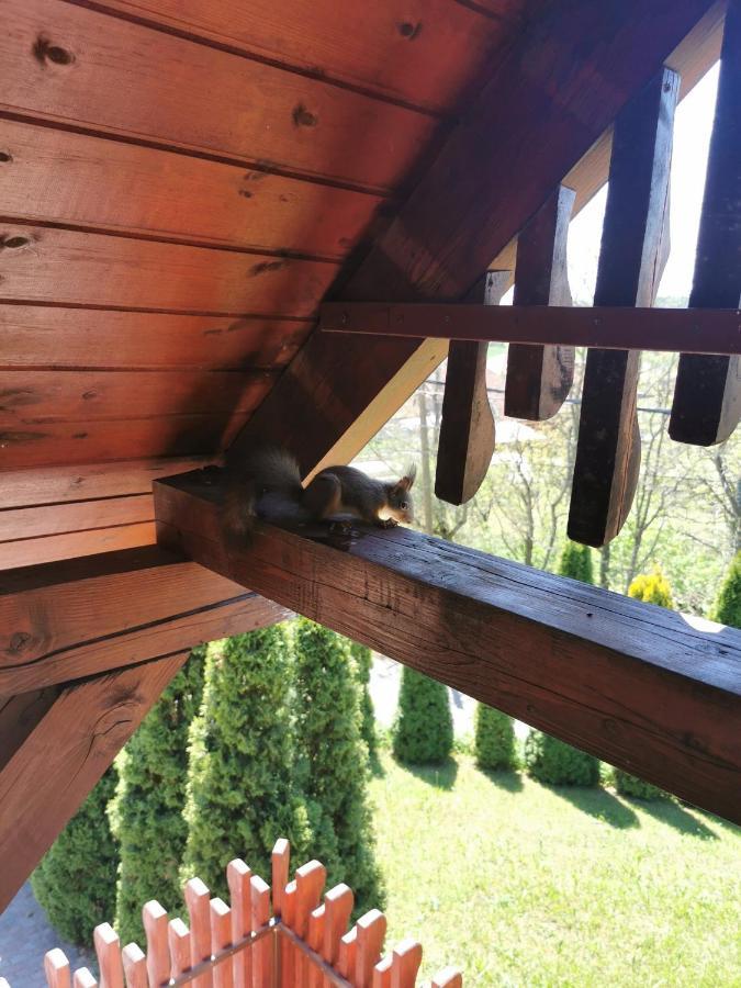 Sokristaly Vendeghaz Hotel Demjén Buitenkant foto